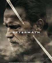 Aftermath: Giving Bad News, Functional Language